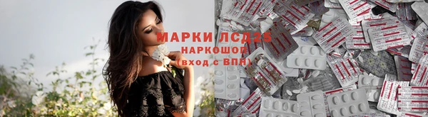 дживик Бронницы