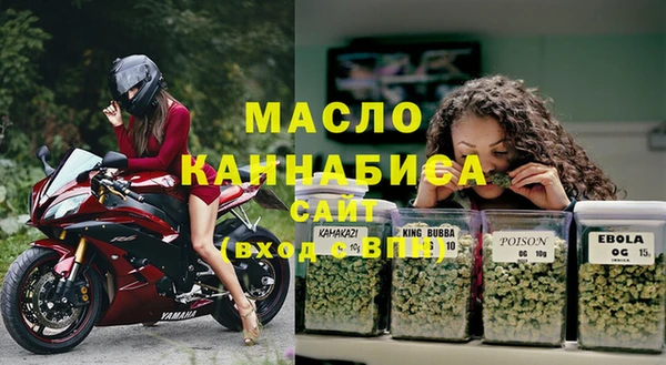 прущий лед Бородино