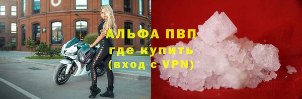 прущий лед Бородино