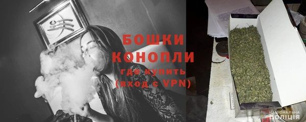 дживик Бронницы