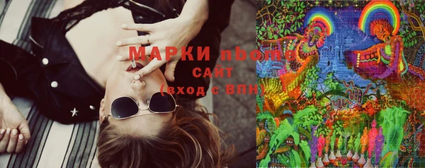 дживик Бронницы