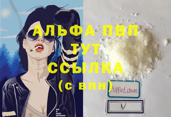 прущий лед Бородино