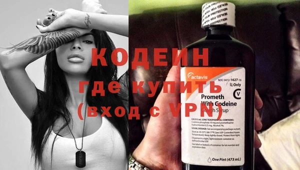 прущий лед Бородино