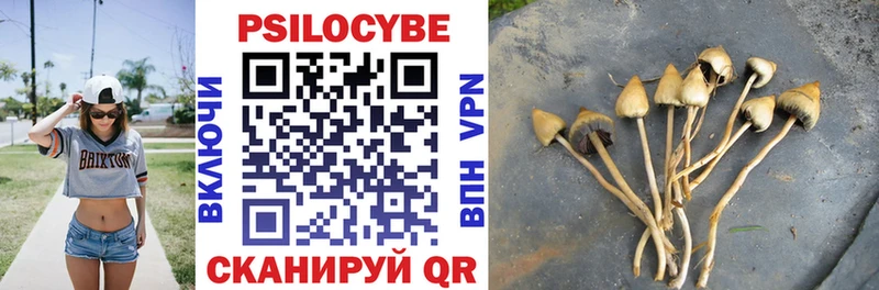 Купить где  Белореченск  Псилоцибиновые грибы мухоморы 